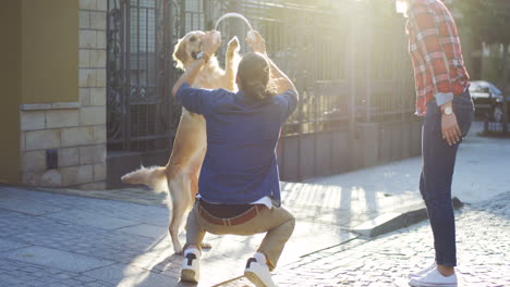 Junges-Glückliches-Paar,-Das-Mit-Einem-Labrador-hund-Spielt-Und-Ihn-Trainiert,-An-Einem-Sonnigen-Tag-Zu-Springen