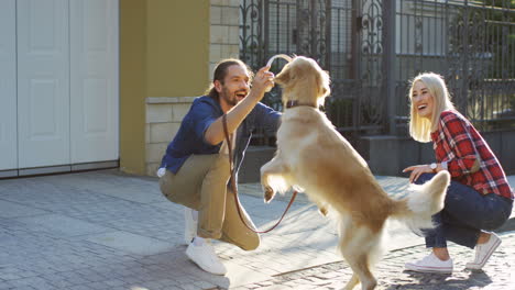 Young-Happy-Couple-Playing-With-A-Labrador-Dog-And-Training-It-To-Jump-On-A-Sunny-Day-1