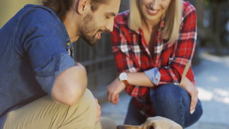Close-Up-View-Of-Smiled-Young-Couple-On-The-Street-Talking-And-Petting-With-A-Labrador-Dog-On-A-Sunny-Day
