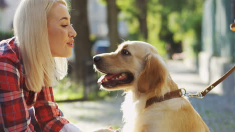 Close-Up-View-Of-Young-Blond-Woman-On-The-Street-Petting-A-Cute-Labrador-Dog-On-A-Sunny-Day