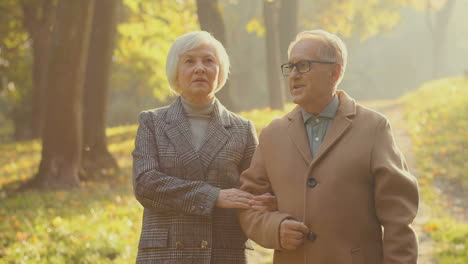 Elderly-Man-And-Woman-Walking-Together-And-Talking-In-A-Beautiful-Park-At-Sunset-In-Autumn