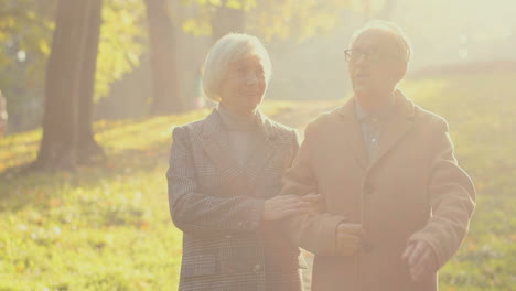 Elderly-Man-And-Woman-Walking-Together-And-Talking-In-A-Beautiful-Park-At-Sunset-In-Autumn-1