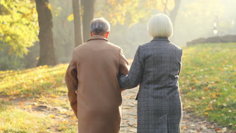 Rear-View-Of-Elderly-Man-And-Woman-Walking-Together-On-The-Park-Path-And-Helderlying-Each-Other-At-Sunset-In-Autumn
