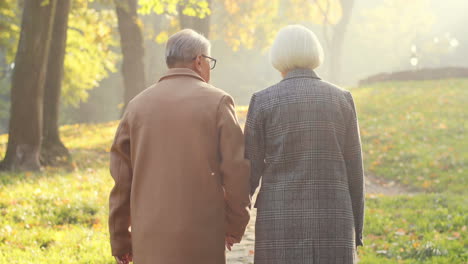 Rear-View-Of-Elderly-Man-And-Woman-Walking-Together-On-The-Park-Path-And-Helderlying-Each-Other-At-Sunset-In-Autumn-1