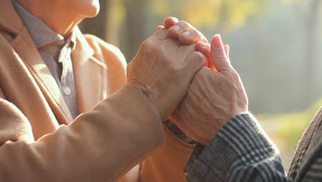 Close-Up-View-Of-Elderly-Man-Hands-And-Woman-Hands-Joined-At-Sunset-In-The-Park-In-Autumn