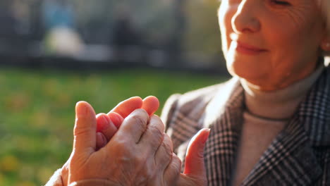 Close-Up-View-Of-Elderly-Woman-Helderlying-Hands-With-Her-Partner-And-Talking-At-Sunset-In-The-Park-In-Autumn