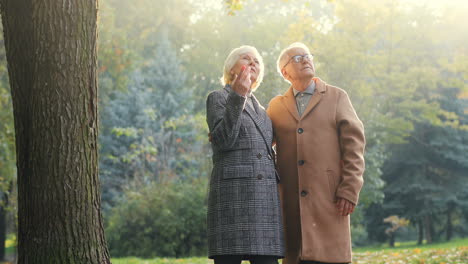Elderly-Couple-In-The-Park