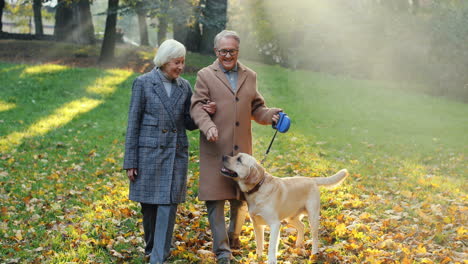 Älteres-Ehepaar,-Das-Bei-Sonnenuntergang-Im-Herbst-Mit-Einem-Hund-An-Der-Leine-Im-Park-Spazieren-Geht