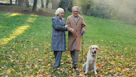 Elderly-Couple-Walking-With-A-Dog-On-A-Leash-In-The-Park-At-Sunset-In-Autumn-1