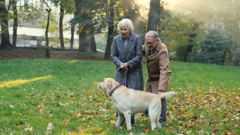 älteres-Ehepaar-Steht-Im-Park-Mit-Einem-Hund-An-Der-Leine-Bei-Sonnenuntergang-Im-Herbst
