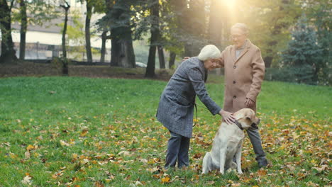 Elderly-Woman-Standing-In-The-Park-While-Petting-A-Dog-On-A-Leash-At-Sunset-In-Autumn
