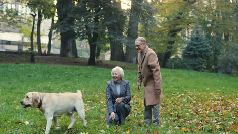Senior-Mann-Und-Frau-Verbringen-Zeit-Zusammen-Mit-Ihrem-Hund-Im-Park-Bei-Sonnenuntergang-Im-Herbst