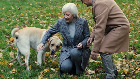 Elderly-Married-Couple-Walking-With-A-Dog,-Playing-And-Petting-It-In-The-Park-At-Sunset-In-Autumn