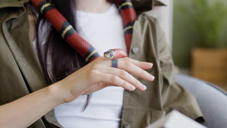 Close-Up-Of-A-Female-Hand-Holding-A-Pet-Snake-At-Home-1