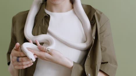 Close-Up-Of-An-Unrecognizable-Woman-Holding-A-White-Pet-Snake-Around-Her-Neck-And-Hands-On-A-Green-Background