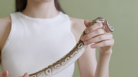 Close-Up-Of-A-Young-Woman-With-Eyeglasses-And-A-White-Sleeveless-Top-Holding-A-Pet-Snake-On-A-Green-Background