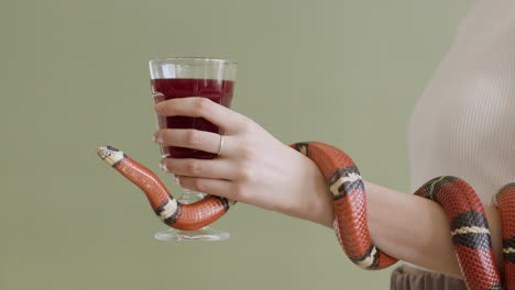 Side-View-Of-An-Unrecognizable-Woman-With-Snake-Wrapped-Around-Her-Arm-Holding-A-Red-Wine-Glass-On-A-Green-Background