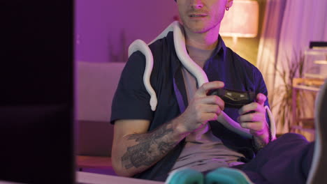 Close-Up-View-Of-Man-Sitting-At-Desk-And-Holding-A-Snake-Around-His-Neck-While-Playing-Video-Games-On-The-Computer