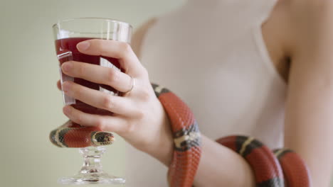 Close-Up-Of-An-Unrecognizable-Woman-With-Snake-Wrapped-Around-Her-Arm-Holding-A-Red-Wine-Glass