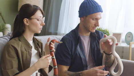 Couple-Holding-Pet-Snakes-And-Talking-Together-While-Sitting-On-A-Comfortable-Sofa-At-Home-1