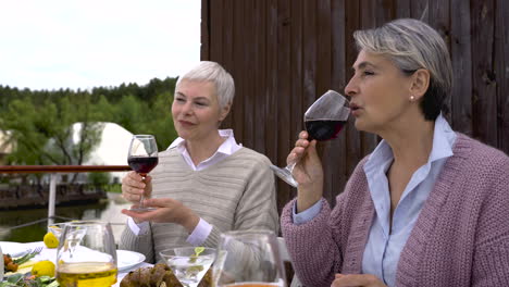Zwei-ältere-Frauen,-Die-Wein-Trinken