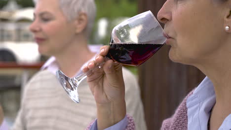Close-Up-Of-Two-Senior-Women-Drinking-Wine