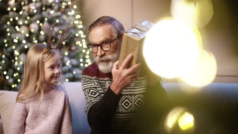 Close-Up-Portrait-Of-Joyful-Grey-Haired-Grandpa-Receiving-Wrapped-Xmas-Gift-From-Little-Girl-Granddaughter-While-Sitting-At-Decorated-Home-Near-Glowing-Christmas-Tree