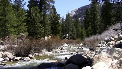 Ein-Felsiger-Fluss-Fließt-Durch-Ein-Bewaldetes-Sequoia-Tal-(Schleife)