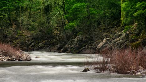 Ein-Fluss-Im-Zeitraffer-Fließt-Durch-Den-Wald