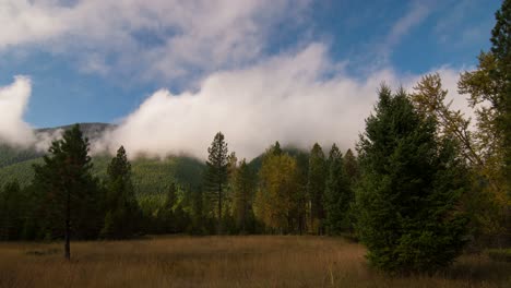 Time-Lapse-Clouds-Billow-Over-A-Forest