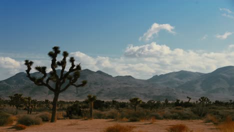 Time-Lapse-Clouds-Travel-Over-The-Joshua-Tree-National-Park,-California