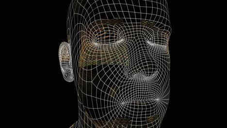 Futuristische-Gesichtserkennung-3D-Animierter-Kopf-(Schleife)