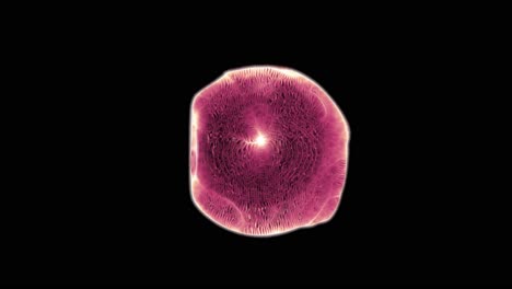 Una-Sola-Célula-Microscópica-(bucle)