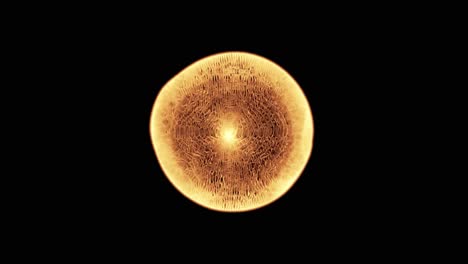 Una-Sola-Célula-Microscópica-(bucle)-1
