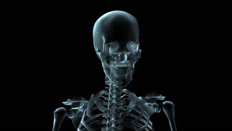 3D-Medical-Animation-Of-A-Human-Skeleton-Rotating