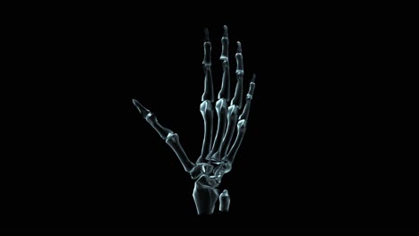 3D-Medical-Animation-Of-A-Human-Hand-Bones-Rotating-(Loop)