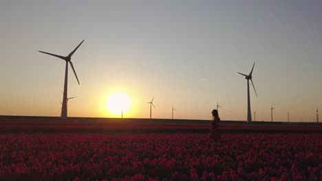 Girl-posing-in-field-of-tulips-and-wind-turbines-at-sunset,-aerial-view