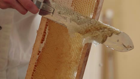 Beekeeper-unclogs-honeycomb-with-a-hand-knife