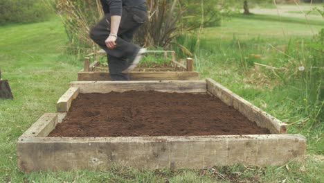 Young-gardener-covering-seed-potatoes-in-raised-garden-bed