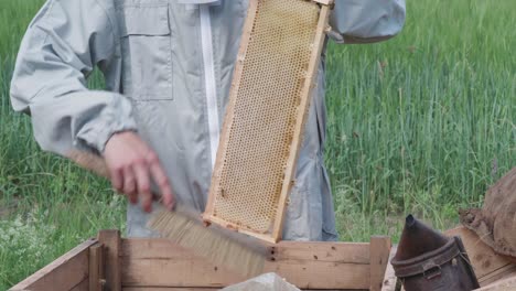 Imker-Kontrolliert-Waben-Und-Bürstet-Bienen
