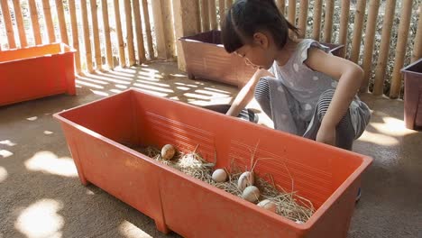 Asian-Child-girl-farming-duck's-eggs,-activity-summer-camp-school-break