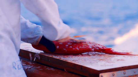 CLOSEUP,-scaling-freshly-caught-red-snapper-fish-on-moving-boat,-Slow-Motion