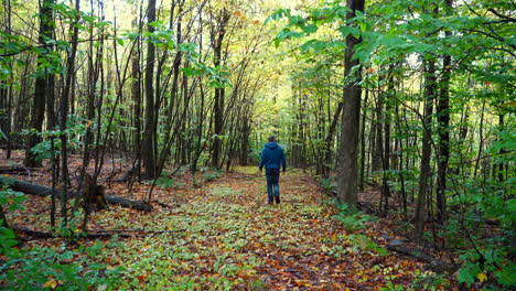 Hombre-Caminando-En-Un-Sendero-Forestal-En-El-Este-De-Canadá-Otoño