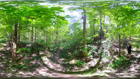 360-vr-clip-of-a-man-walking-through-a-forest