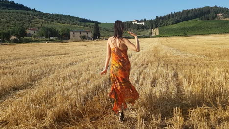 Young-brunette-girl-walking-away-in-a-wheat-field-at-the-beginning-of-summer
