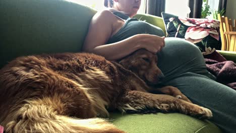 Pregnant-girl-relaxing-on-cosy-couch-stroking-pet-dog-with-affection