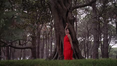 Dancing-to-the-silence-of-the-trees-in-a-forest---wide-shot