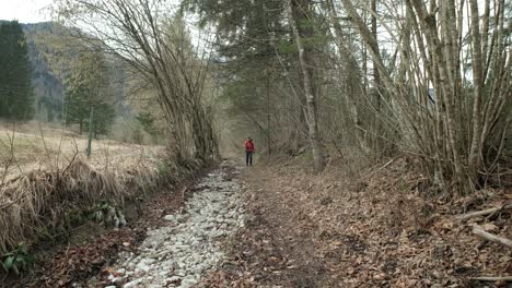 Hombre-Caminando-En-Los-árboles-Muertos-Del-Bosque-En-Invierno-De-Eslovenia