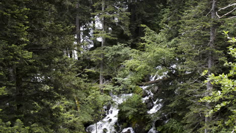 Kippen-Sie-Den-Wasserfall-Uelhs-Deth-Joèu-Durch-Waldbäume-Nach-Unten
