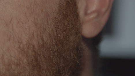 Close-up-of-male-bearded-sideburns